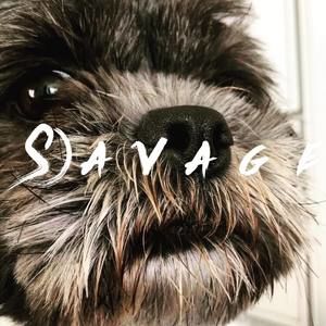 Meet your Posher, Gloria